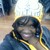 :iconmirrormera92: