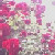 :iconmirrorrise: