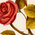 :iconmirrorsqueen: