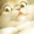 :iconmiruko: