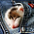 :iconmiruru-chan: