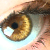 :iconmirymoo: