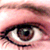 :iconmis-infact: