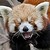 :iconmisaogirl1022: