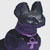 :iconmisat0: