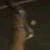 :iconmiscarlet: