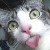 :iconmischieflily: