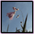 :iconmischievous-angel6: