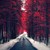 :iconMiscReant1512:
