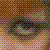 :iconMiseri-Mani: