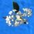 :iconmisery-buisness: