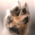 :iconmishiac: