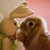 :iconmishka7: