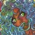 :iconmiso-suppexd: