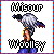 :iconMisour-Woolley: