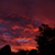 :iconmiss--moore: