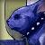 :iconmiss-addams: