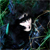 :iconmiss-avalancha: