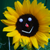 :iconmiss-baloney: