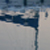 :iconmiss-bloody: