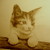 :iconmiss-brown: