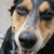 :iconmiss-elixir-midna: