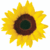 :iconmiss-foxtrot: