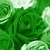 :iconmiss-green-queen: