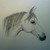 :iconmiss-jojoba: