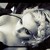 :iconmiss-katsumi: