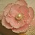 :iconmiss-lizbeth: