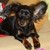 :iconmiss-marilyn69: