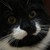 :iconmiss-medusah: