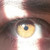 :iconmiss-mog: