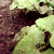 :iconmiss-momentum:
