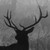 :iconMiss-Monsterkidd: