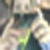 :iconmiss-nofie: