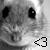 :iconmiss-novacaine: