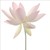 :iconmiss-onzc: