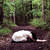 :iconmiss-spider: