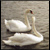 :iconmiss-with-cat: