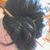 :iconmissa-bafi: