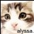 :iconmissalyssa: