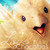 :iconmissalyvia: