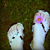 :iconmissamelia: