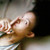 :iconmisscharmed: