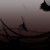 :iconmisscheshy: