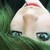 :iconmisschibiwolf: