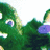:iconmisscrystal0329: