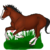 :iconmissdragonrider32: